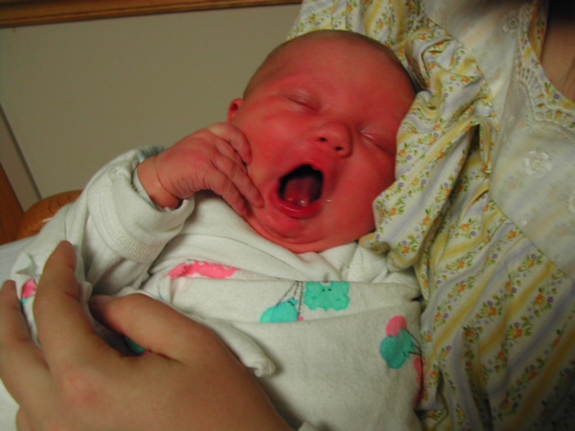 DSCN2891.JPG