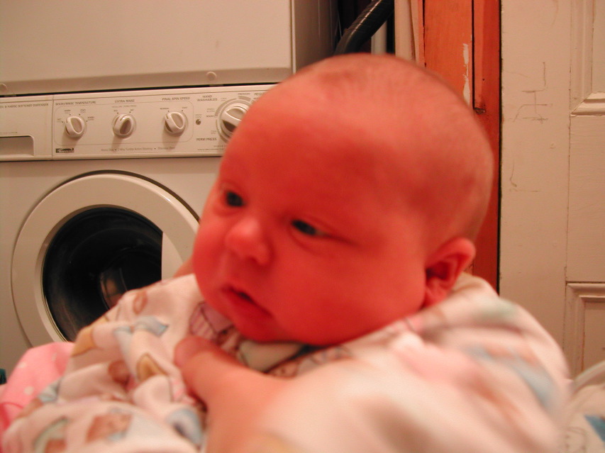 8 June 2003