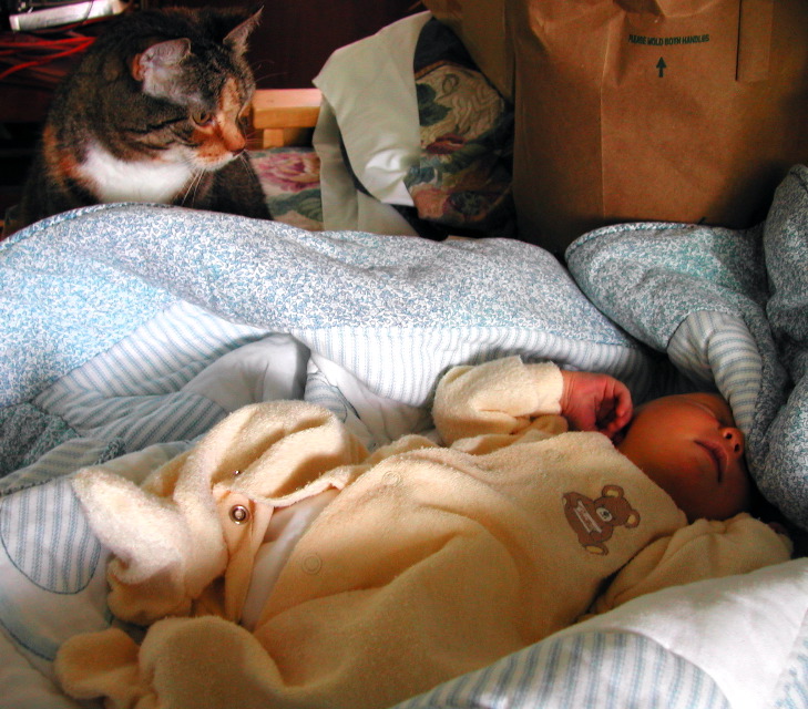 12 June 2003
