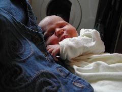 8 June 2003