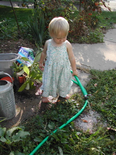 DSCN3516.JPG